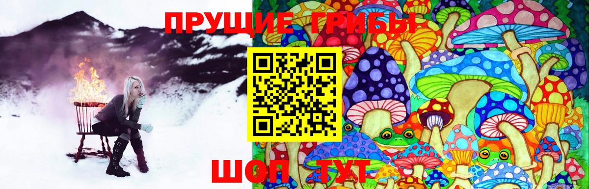 купить наркоту  Вход с VPN  Вольск  Галлюциногенные грибы Magic Shrooms 