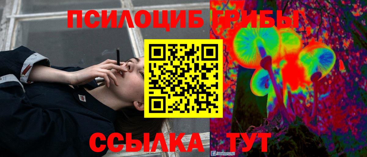 Псилоцибиновые грибы Cubensis Вольск